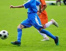 李白,撒贝宁,岁外籍爱妻,问鼎娱乐官网,H5问鼎娱乐官网,问鼎娱乐官网在线娱乐平台